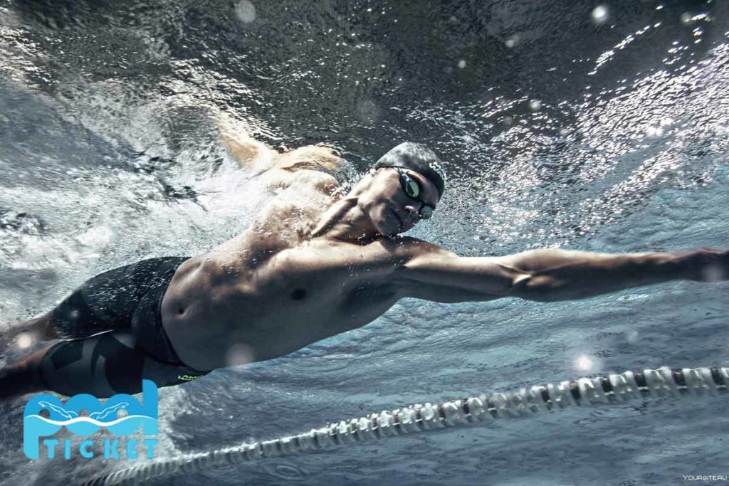 swimming bodybuilding sport